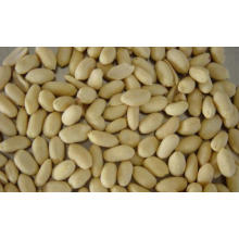 New Crop Good Quality Fresh Nut/Blanched Peanut Kernals